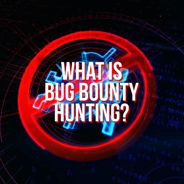 what-is-bug-bounty-hunting